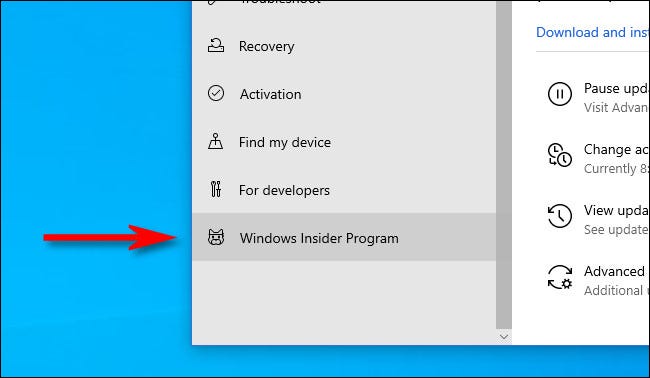Select "Windows Insider Program" in the sidebar.