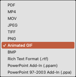 Click File Format and pick Animated GIF