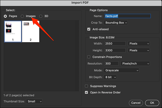 Select the "Images" tab on the "Import PDF" window in Photoshop.