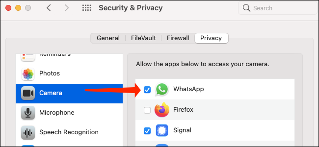 Granting camera access to WhatsApp on macOS Big Sur.