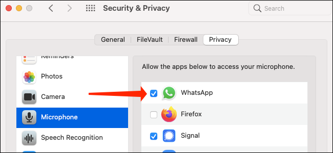Granting microphone access to WhatsApp on macOS Big Sur.