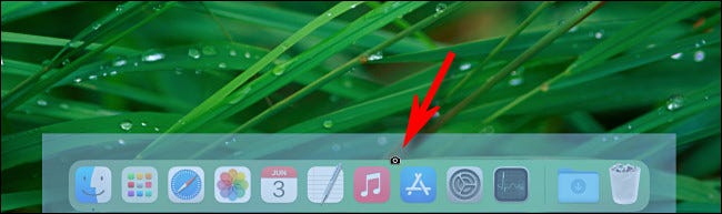 How to take Screenshot the Mac Dock in MacOS