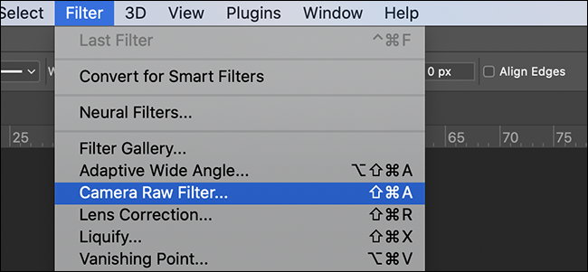 Click Filter > Camera Raw Filter