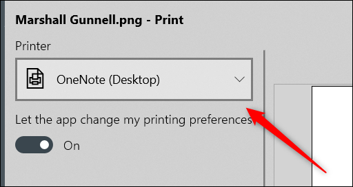 Click the box under the "Printer" option.