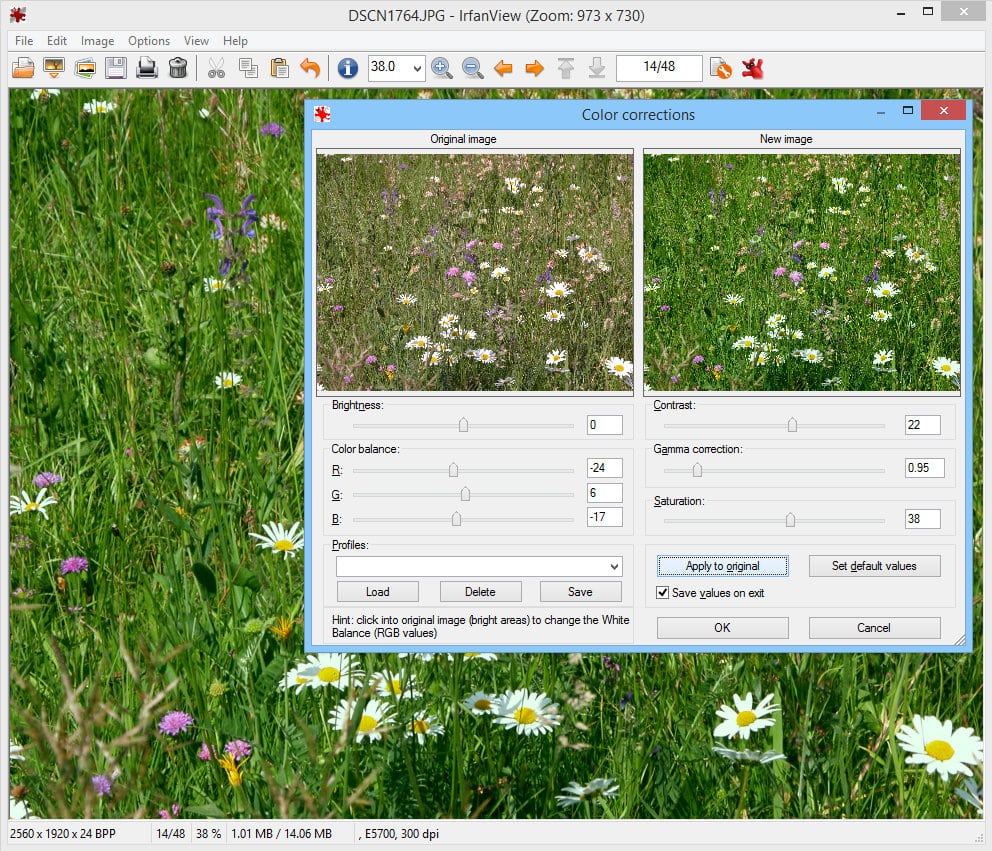 irfanview 4.58 for Windows 10