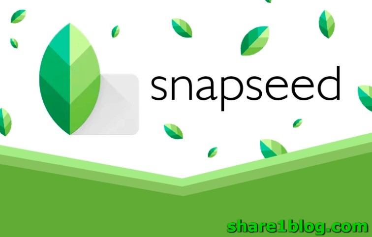 snapseed for windows