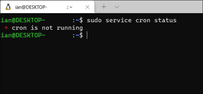 A Windows WSL terminal window showing that cron is not running.