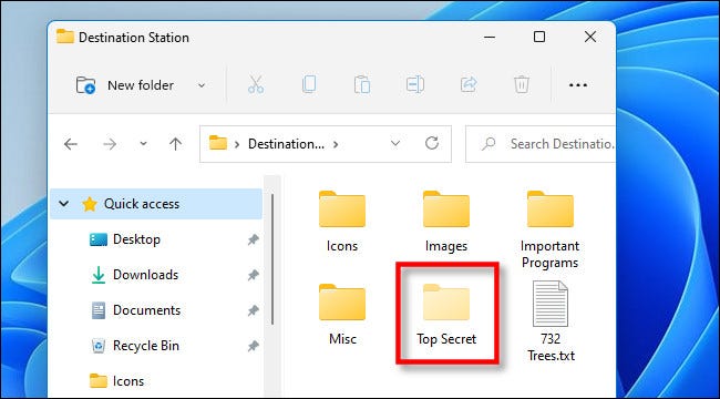 When made visible, hidden folders will have a translucent or faded appearance in Windows 11.