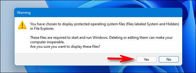 When warned about revealing protected operating system files, click "Yes."