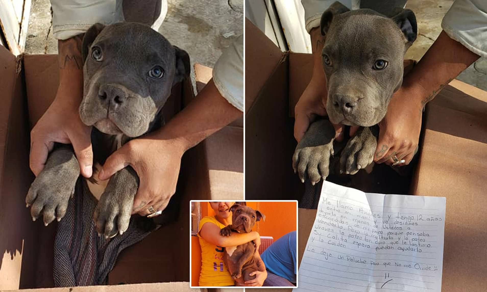 1682120427_384_12-year-old-boy-leaves-puppy-outside-shelter-with-a-devastating-note