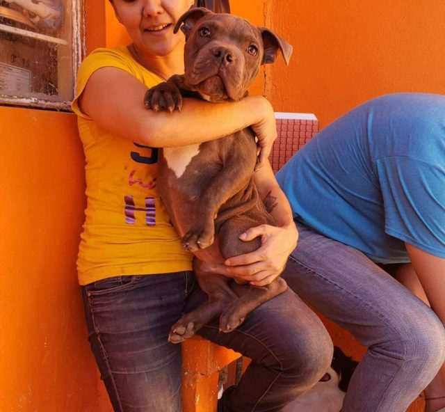 1682120427_775_12-year-old-boy-leaves-puppy-outside-shelter-with-a-devastating-note