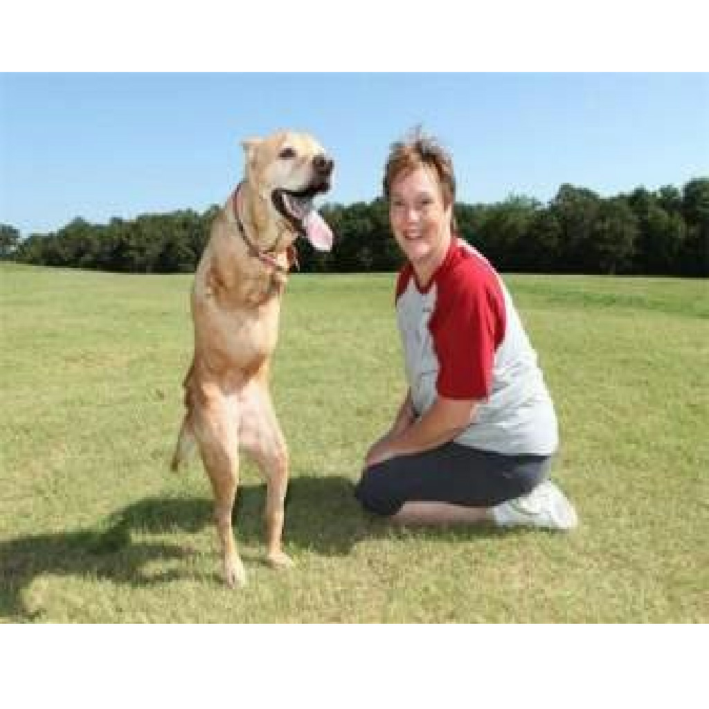 1682133013_284_e28098two-legged-dog-was-kicked-out-of-the-house-by-her