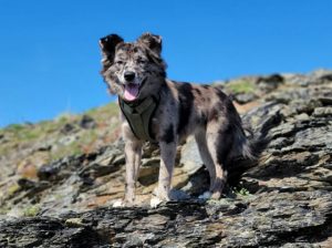 1-20-640x478-1-300x224-1