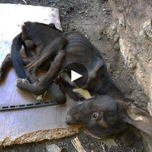 355073753_23855159157550692_472923177964633965_n