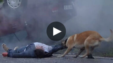 Despite being abandoned