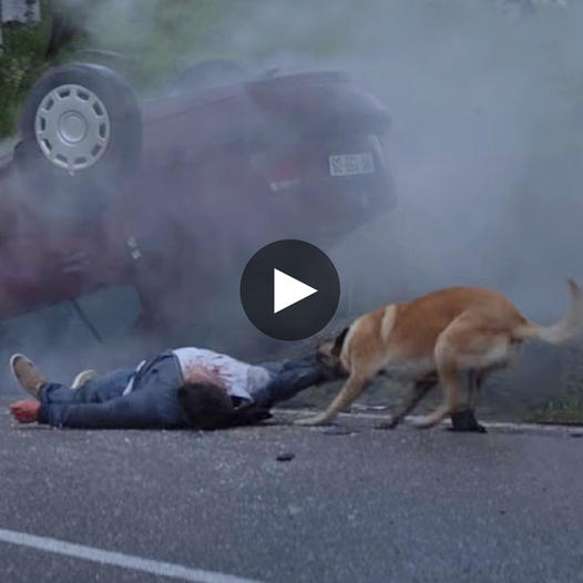 355118302_23855226120450692_6654276460089968080_n