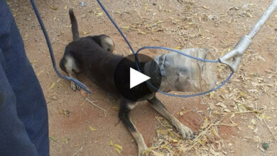 The man secretly filmed