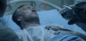 campagne-2016-30-millions-damis-0-10-screenshot-300x146-1