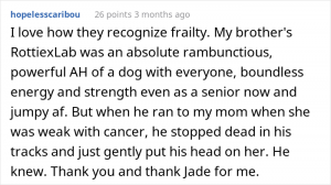 comment_52ebfcdbfa42005a49f3055a231f5f61-300x168-1