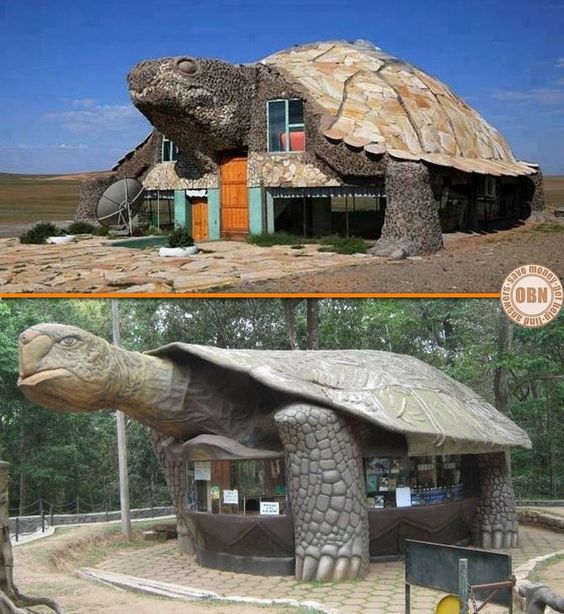 discovering-the-extraordinary-homes-that-defy-conventional-norms-19630-5