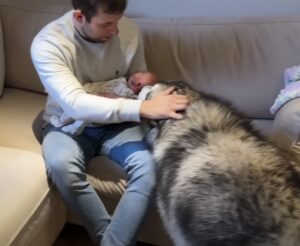 dogbaby5-300x246-1