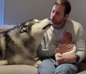 dogbaby6-300x257-1