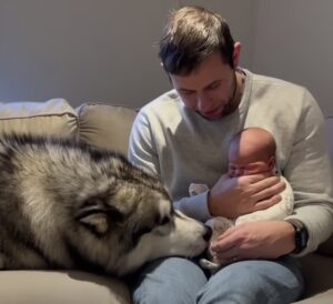 dogbaby7-300x274-1