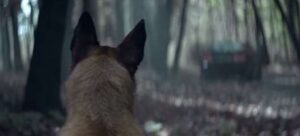 du-bi-bo-roi-chu-cho-trung-thanh-van-quay-lai-cuu-chu-17