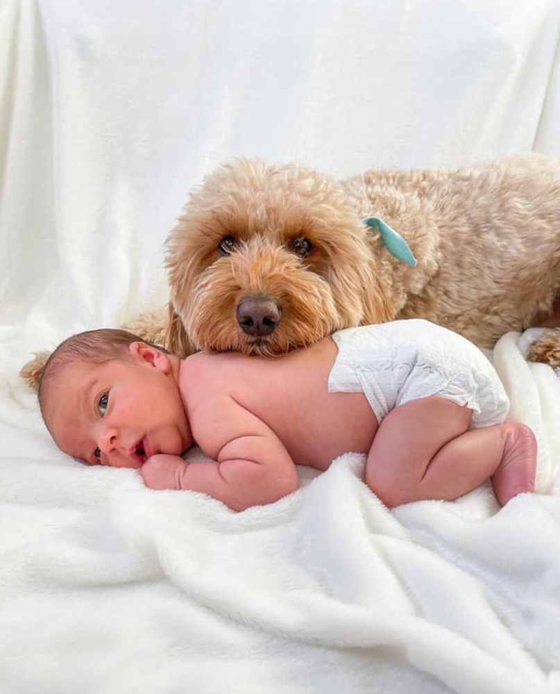 et-baby-dog-23446758097