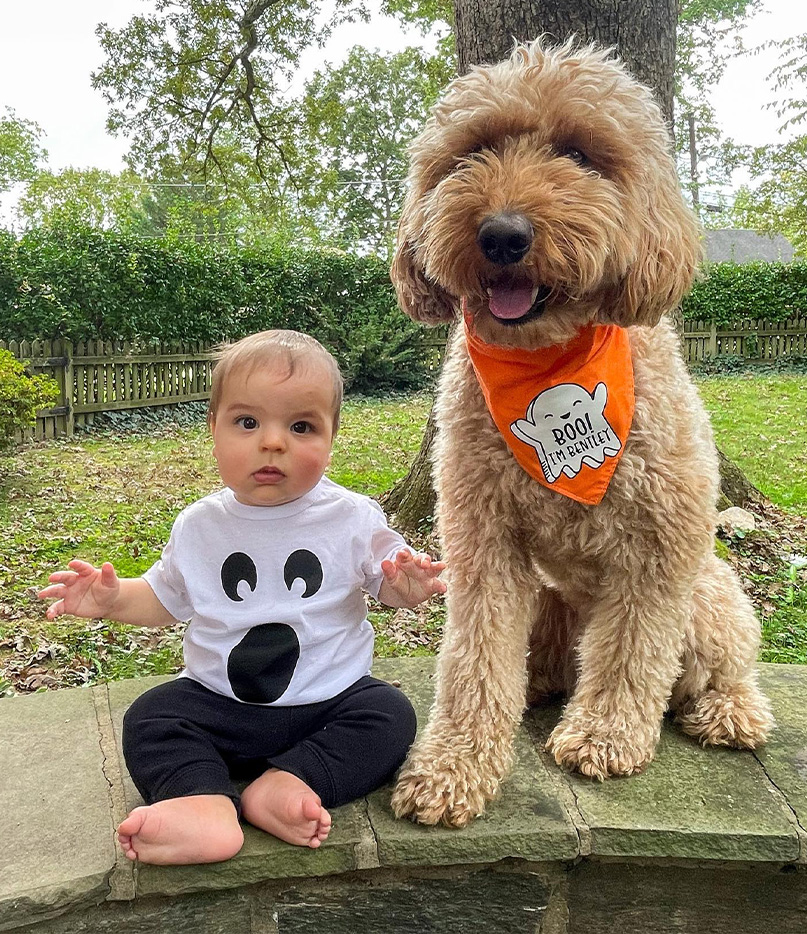 et-baby-dog-2344678097