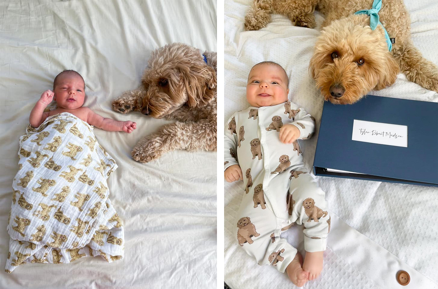 et-baby-dog-2346758097