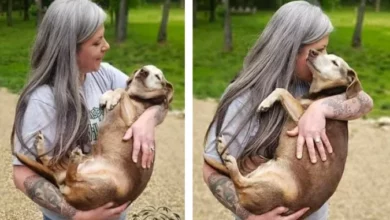 Woman Turns Home Into Pet