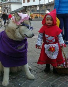 little-child-dressed-up-as-red-riding-hood-and-her-wolf-husky-are-so-adorable-they-go-viral-01-1-237x300-1