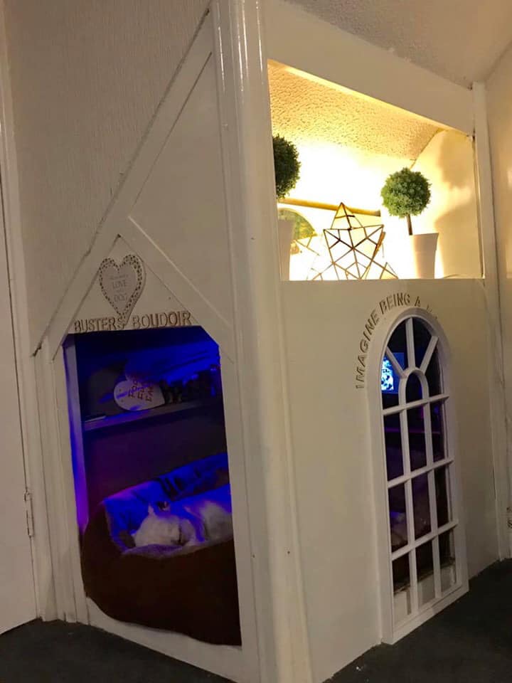 man-builds-his-rescue-dog-with-trust-issues-a-mini-house-in-the-living-room-to-let-him-have-some-alone-time-12