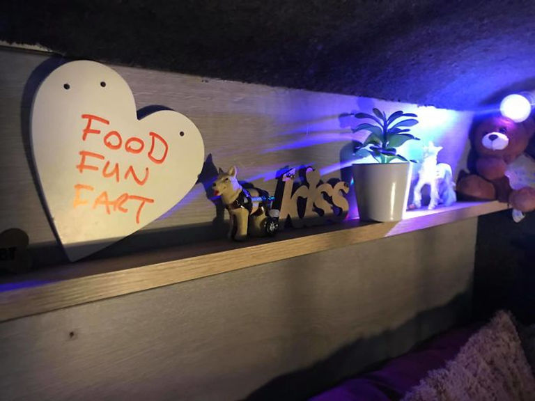 man-builds-his-rescue-dog-with-trust-issues-a-mini-house-in-the-living-room-to-let-him-have-some-alone-time-13