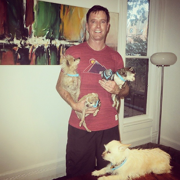 man-dedicates-his-life-to-adopting-senior-dogs-who-can-t-find-a-forever-home-14