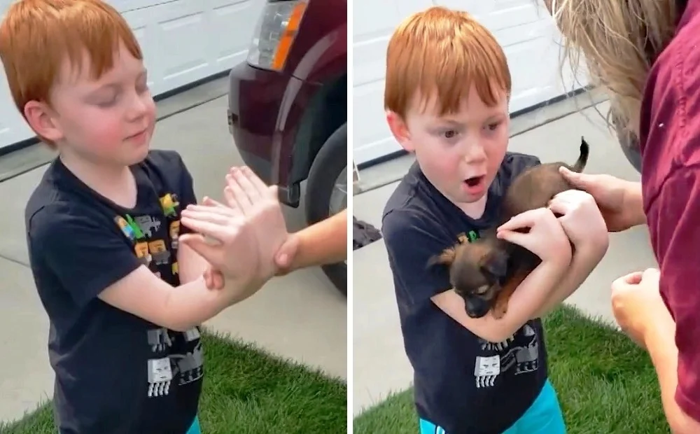 puppysavingsstory2-1