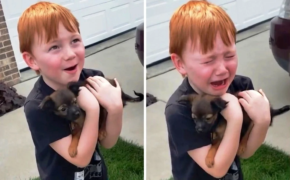 puppysavingsstory3-1-1