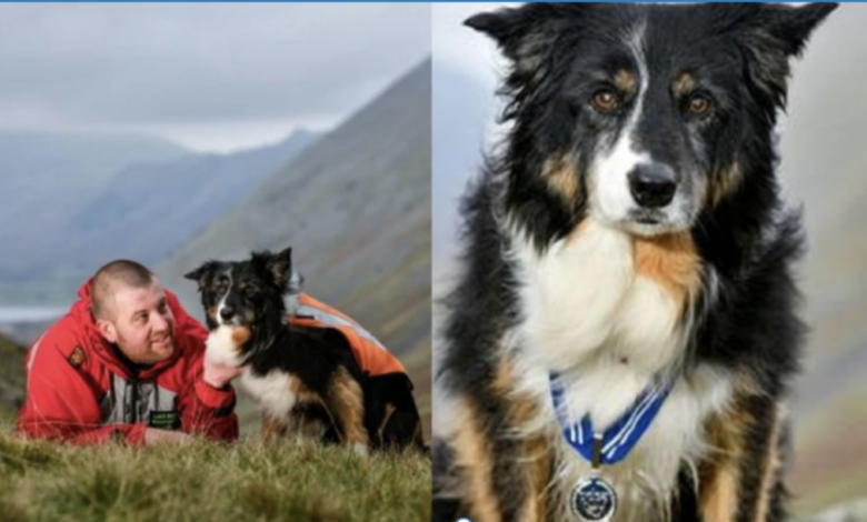 Mountain Dog Skye