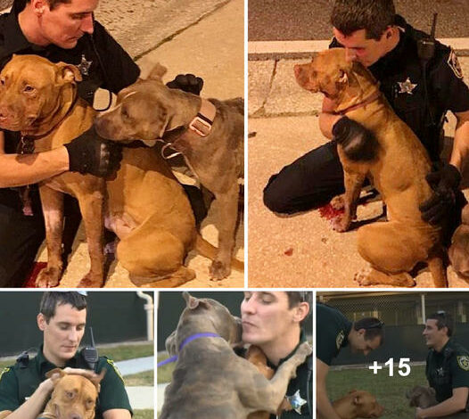 Friendly Police