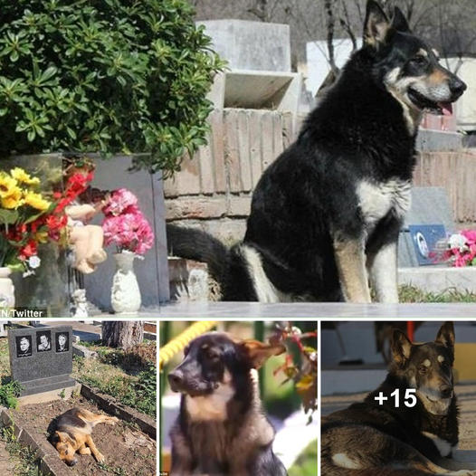 355955988_23855559219470277_8678856857901036237_n