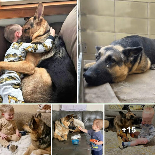 356392608_23855648998540277_5171739496640306025_n