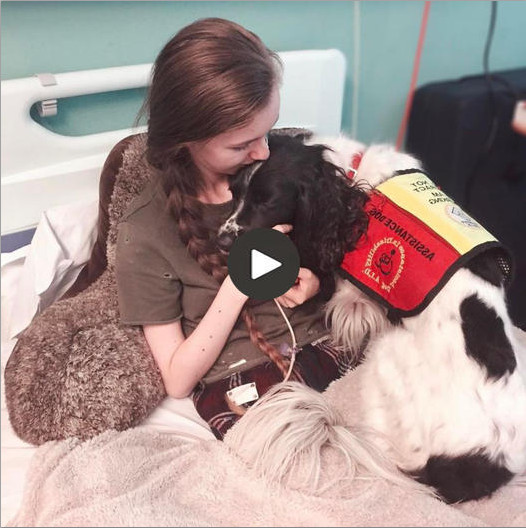 359837560_23857513916980771_3533275945092193251_n