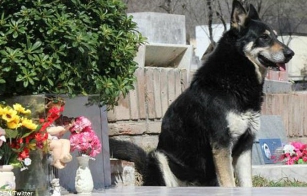 4970546b00000578-5418077-image-a-1_1519227772953-1