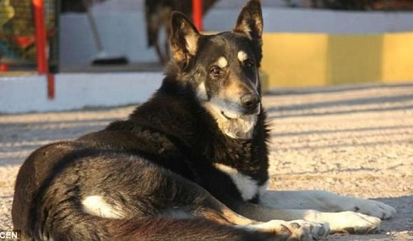 4970548000000578-5418077-image-a-5_1519228104423-1