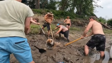 Bachelor Party Heroes