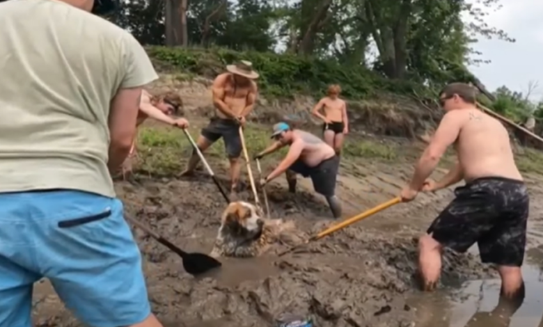 Bachelor Party Heroes