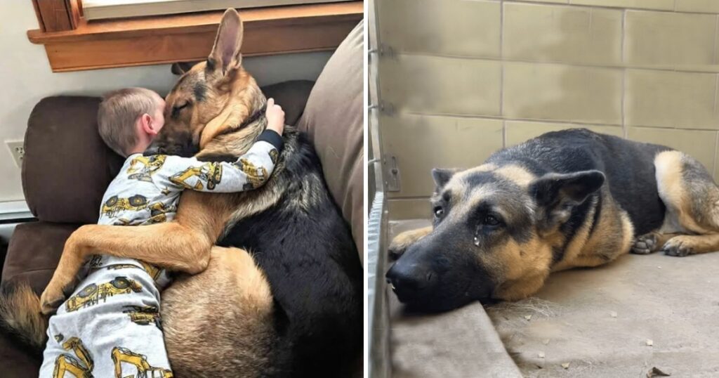 e7codv8xiaezwz51-1024x538-1