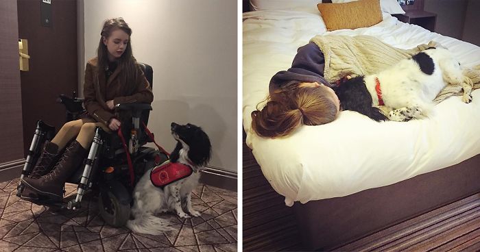 girl-with-rare-disease-dog-caregiver-tedtheassistancedog-fb5-png__700 "Ah