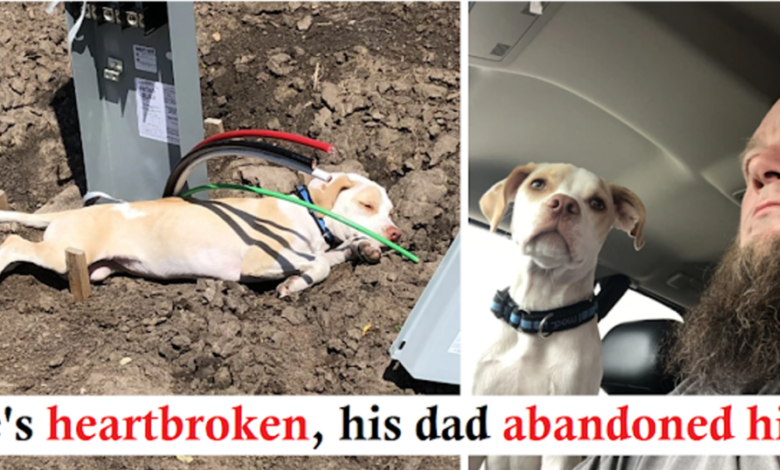 Kind Man Saves Abandoned Puppy